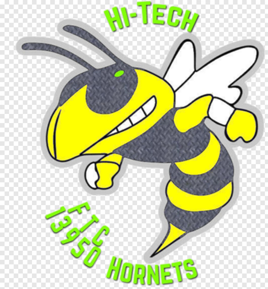  Hi, Texas Tech Logo, High School, Georgia Tech Logo, Tech, Virginia Tech Logo