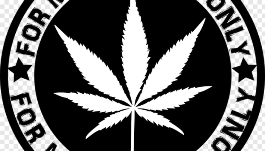 marijuana-leaf # 355459