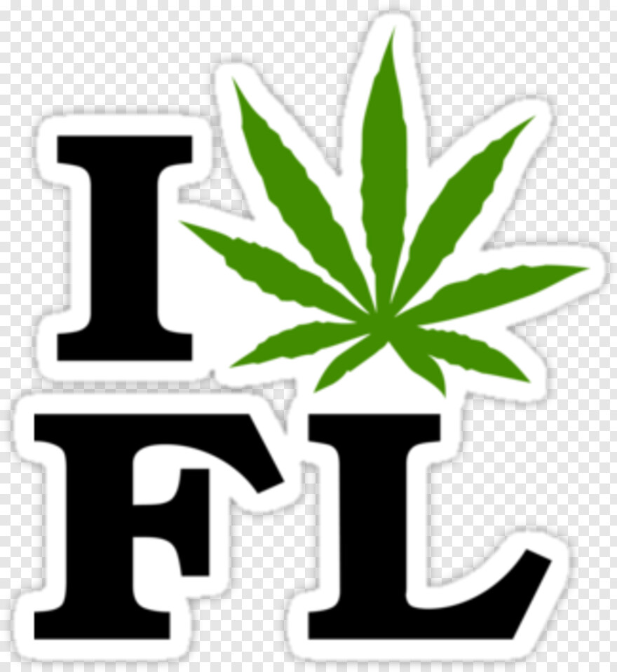  Marijuana Leaf, Florida Map Outline, Marijuana, Florida Gators, Marijuana Joint, Marijuana Plant