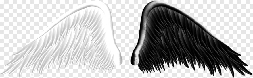 angel-wings # 517463