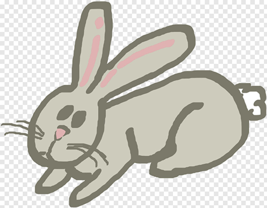 peter-rabbit # 1100455
