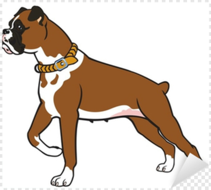  Live Nation Logo, Funny Dog, Dog Paw Print, Hot Dog, Live, Boxer
