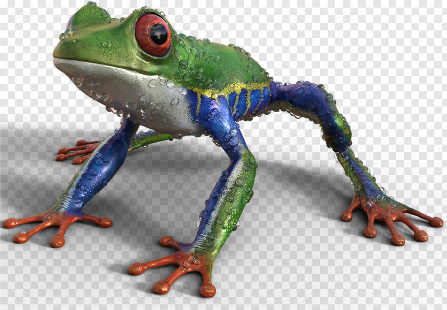 pepe-the-frog # 458943