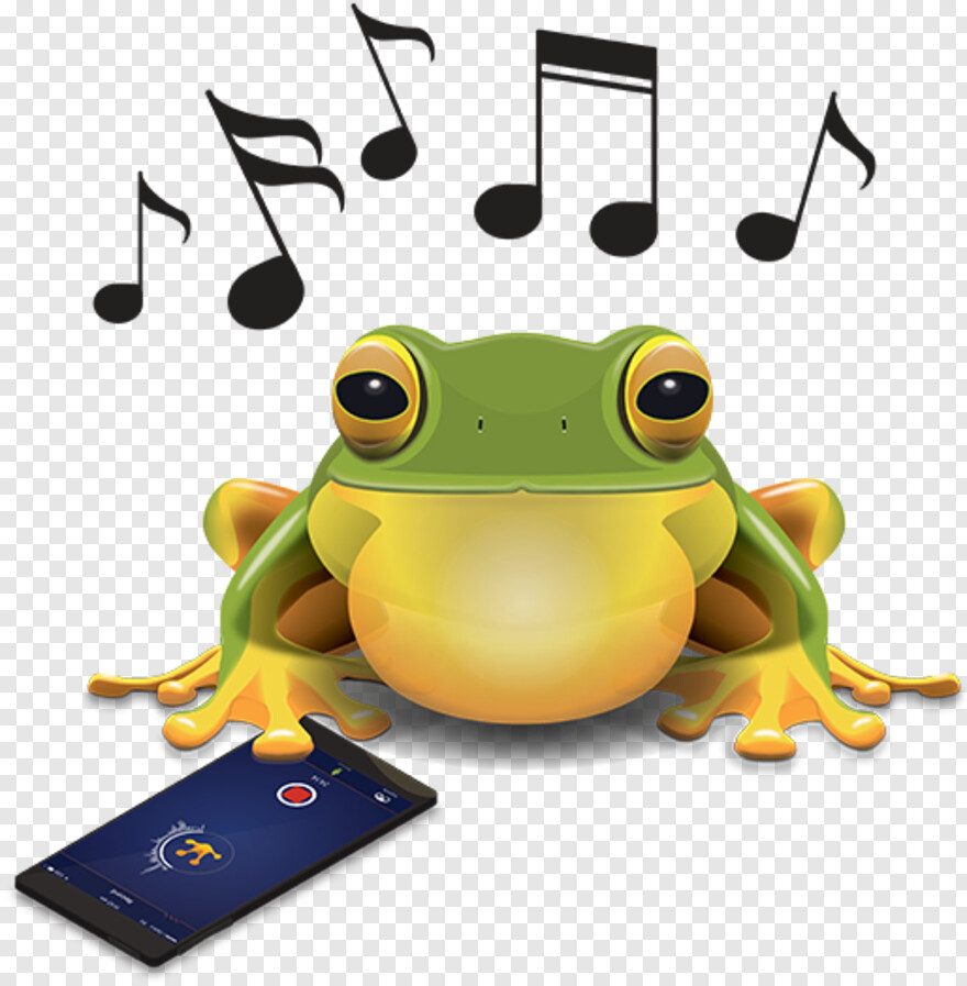 kermit-the-frog # 577225