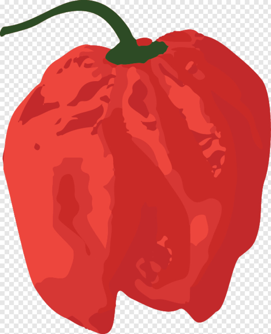 red-pepper # 375550