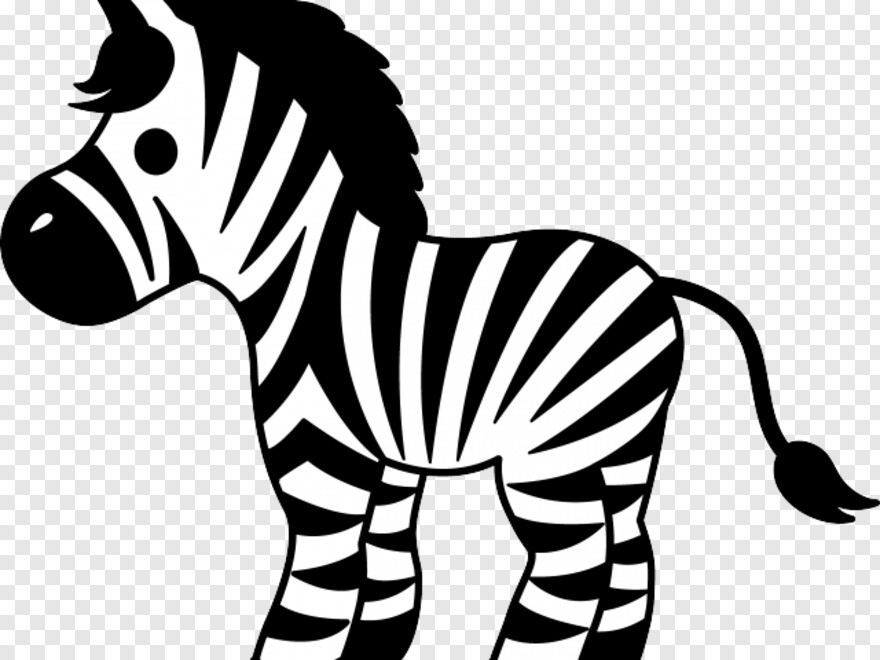 zebra # 355408