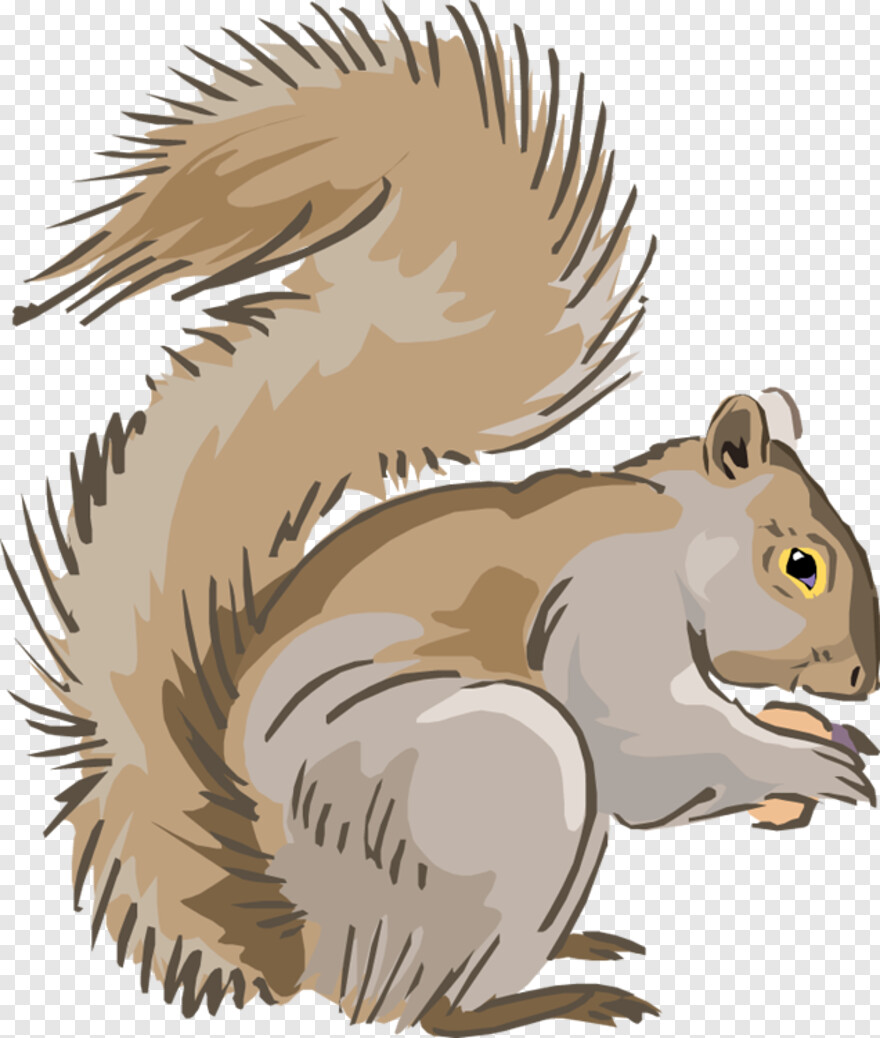 squirrel-clipart # 479937