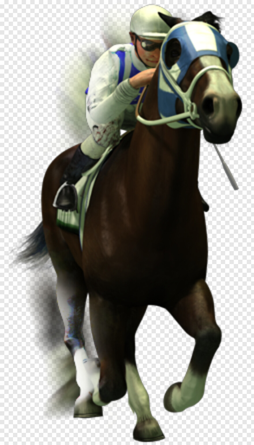  Horse Logo, Horse Head, Black Horse, Horse Mask, Horse, White Horse