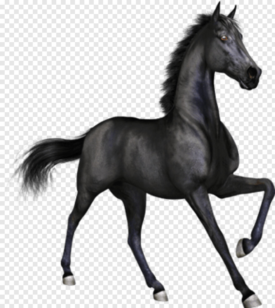 black-horse # 352909