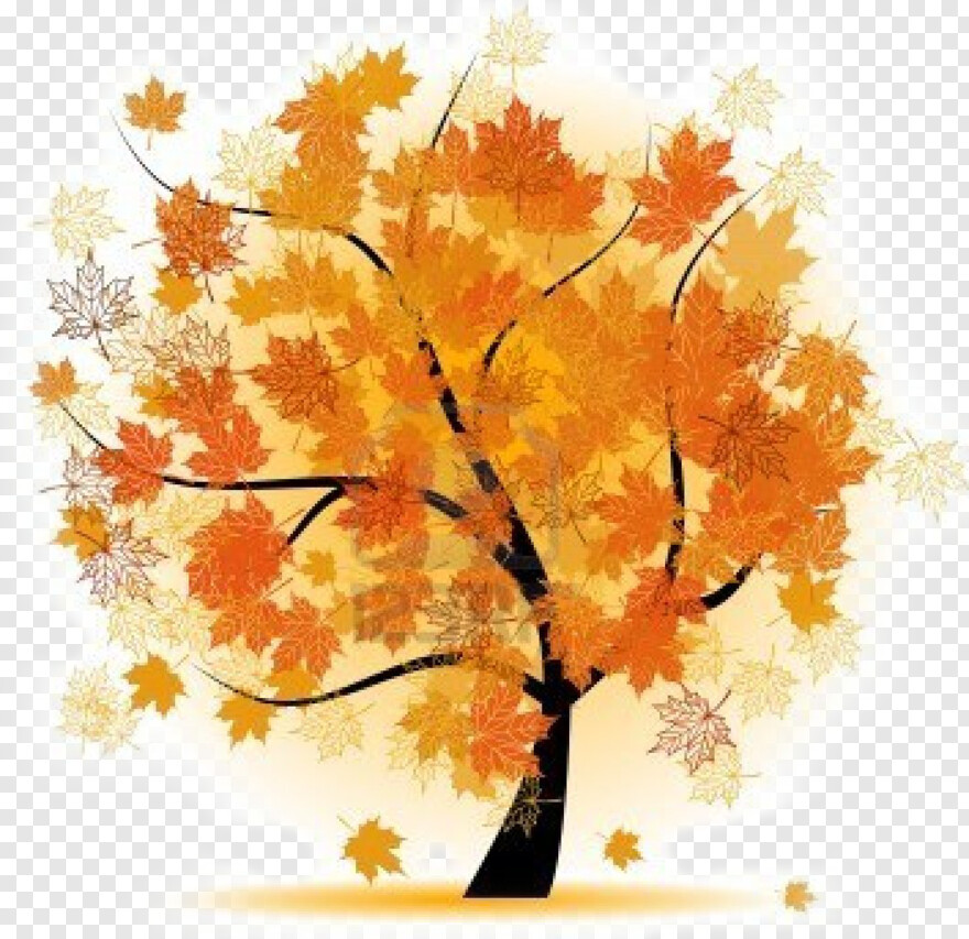 fall-leaf # 847168