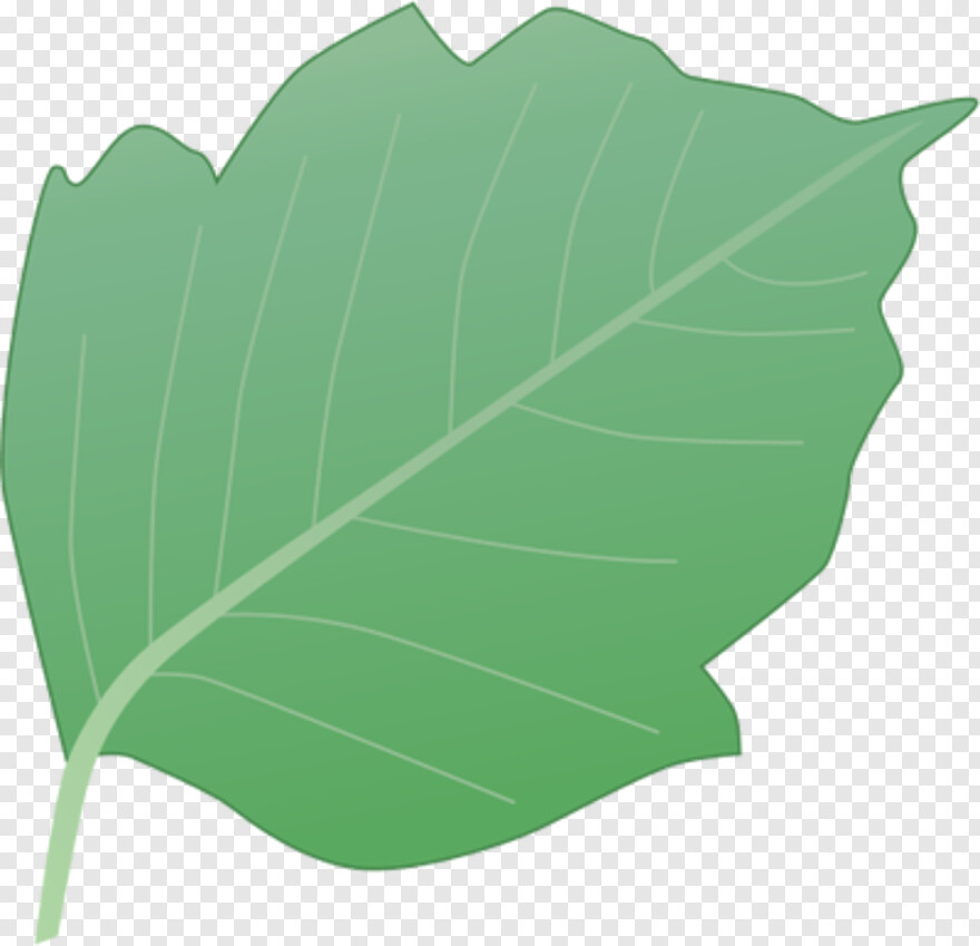 weed-leaf # 455248