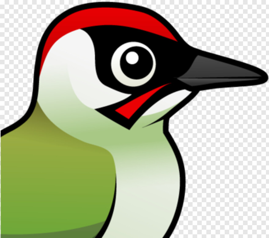 woody-woodpecker # 588776