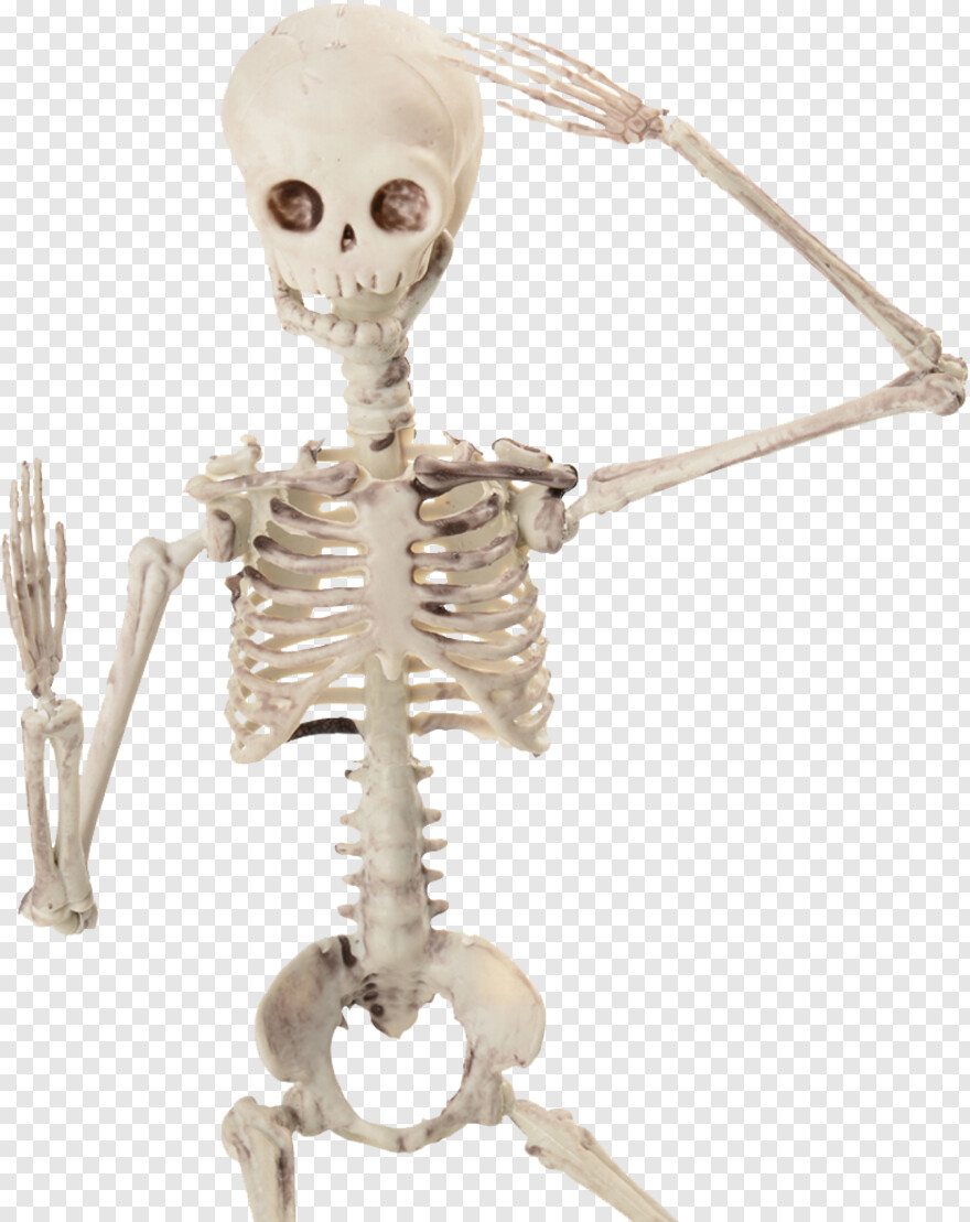  Skeleton Key, Skeleton Arm, Skeleton Hand, Skeleton Head, Skeleton