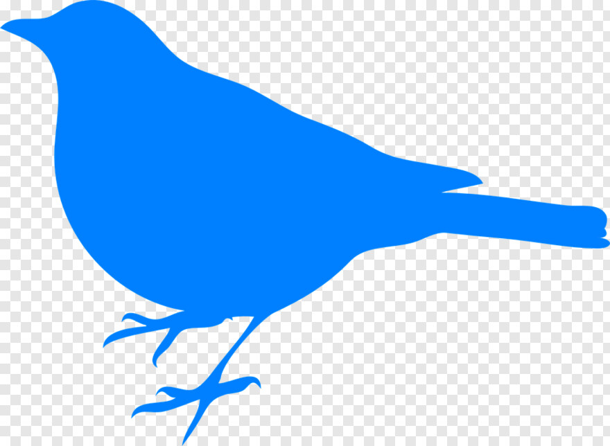 twitter-bird-logo # 360569