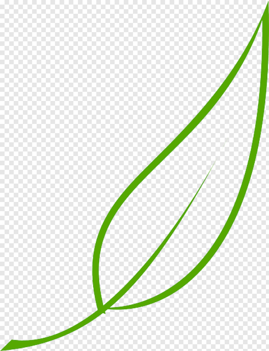 leaf-outline # 782537