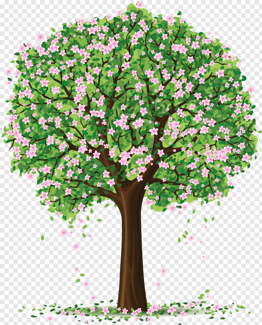cherry-blossom-tree # 458882