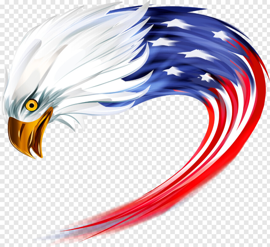 american-flag-eagle # 428579