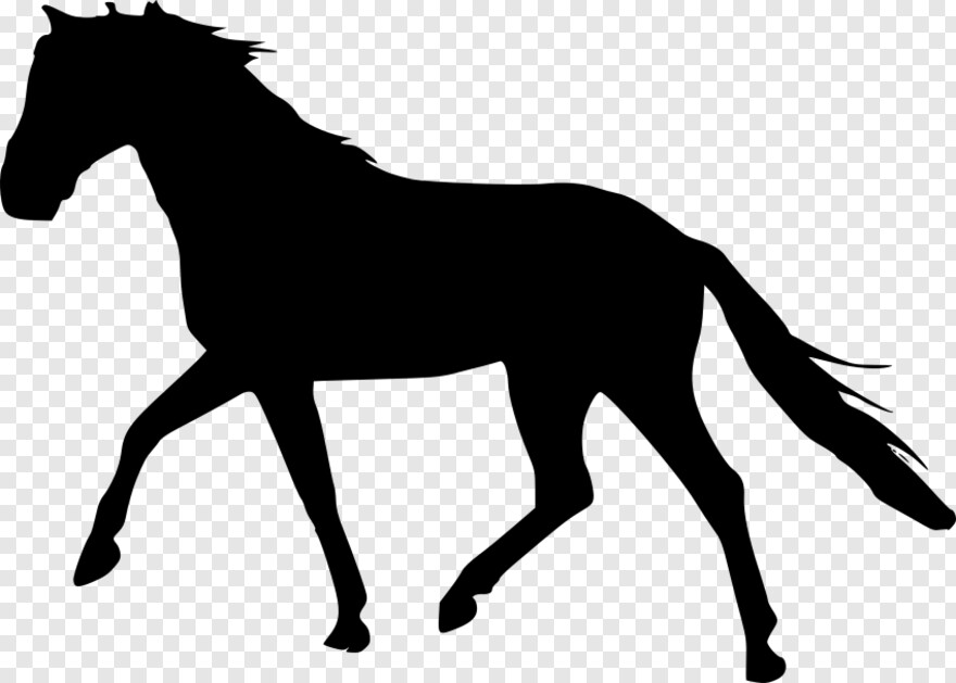  Black Horse, Horse Head, Horse Mask, White Horse, Horse, Horse Logo
