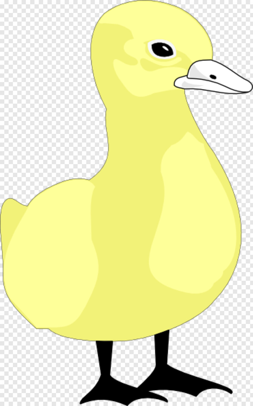 daffy-duck # 879867