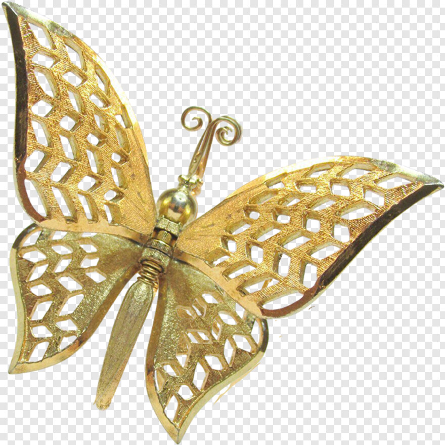 butterfly-wings # 1094480