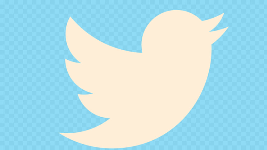 twitter-bird-logo-transparent-background # 361024