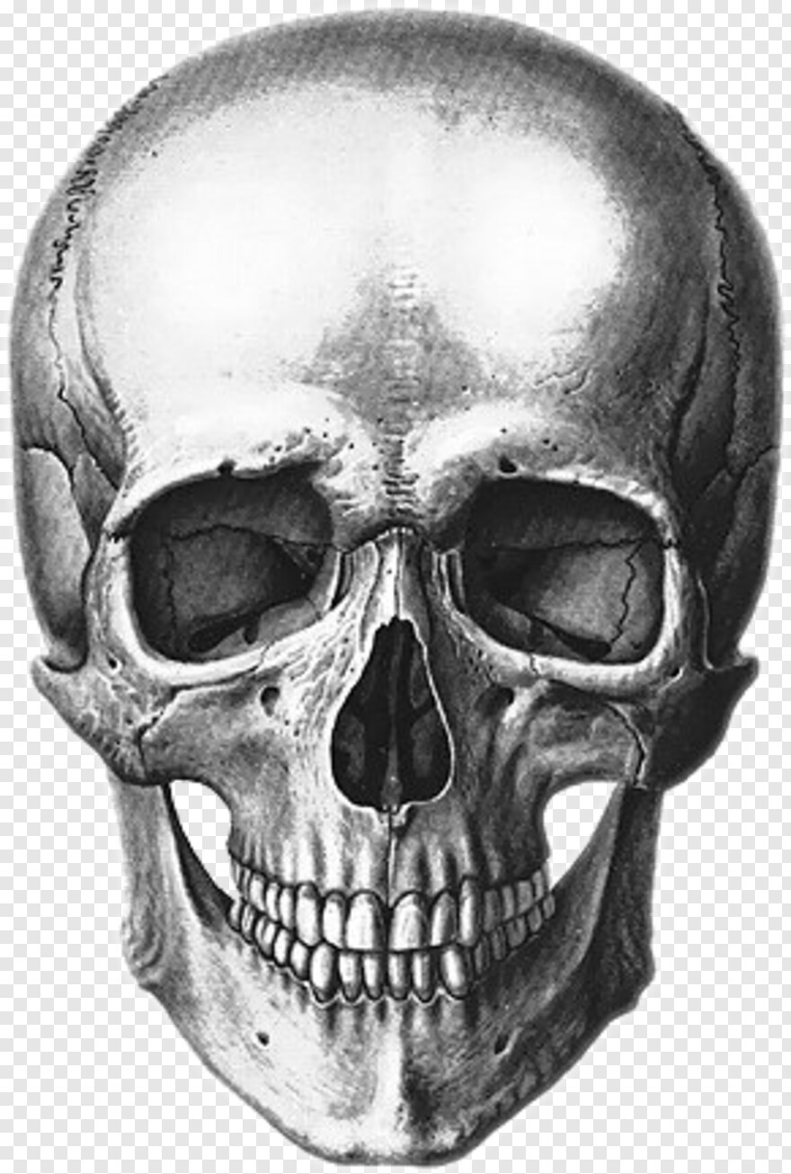 skull-tattoo # 582856