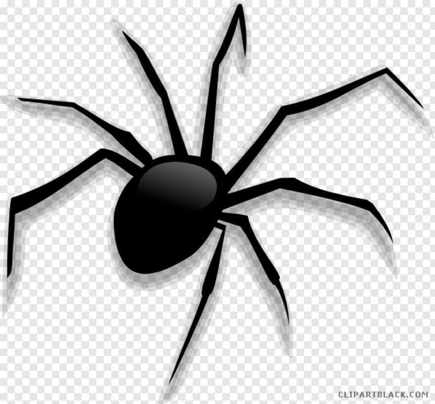 black-widow-spider # 999140