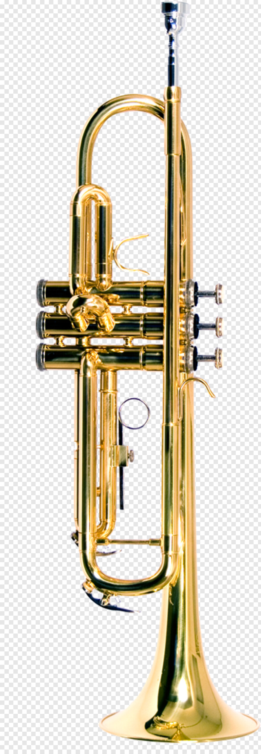 trumpet # 982786