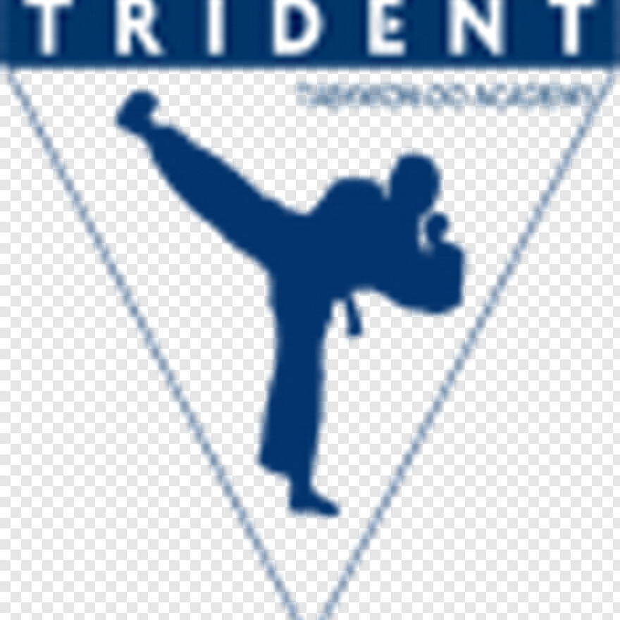 trident # 580589