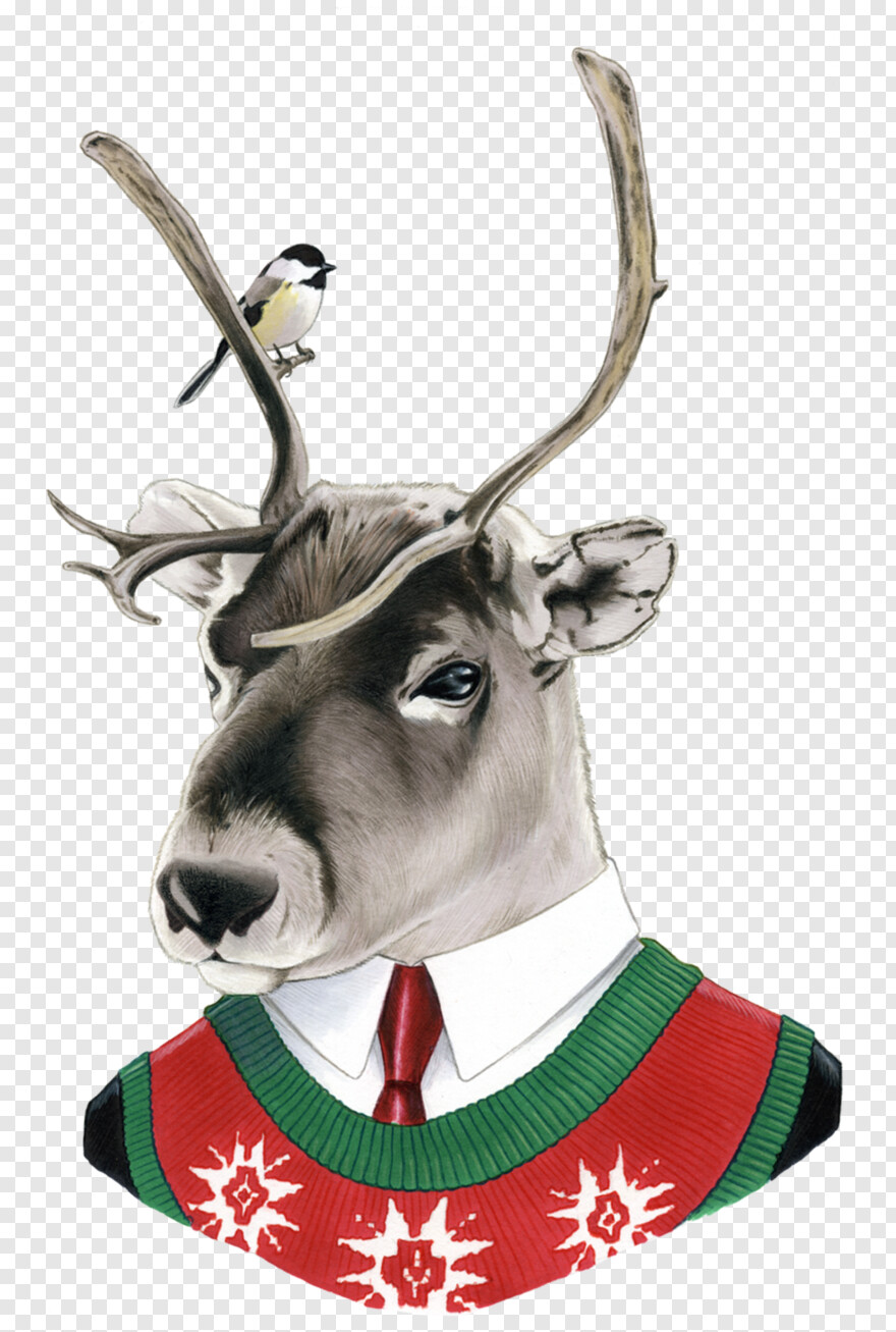 reindeer # 636528