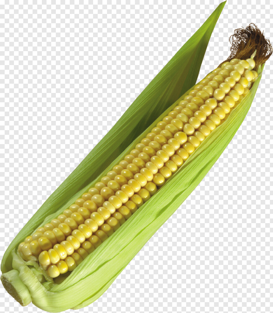 candy-corn # 956503
