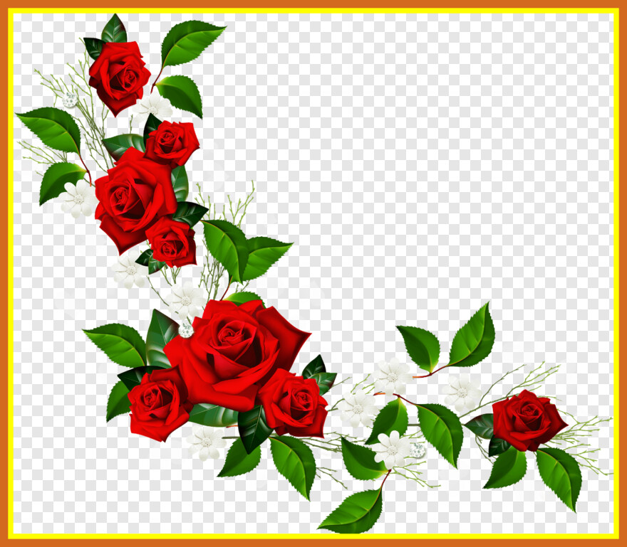 single-rose-flower # 328273