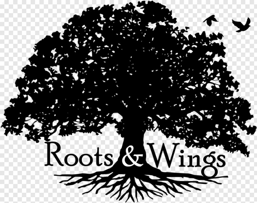 roots # 323199