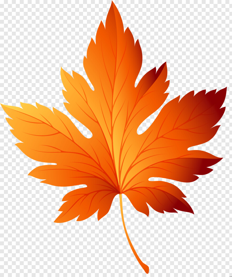 fall-leaf # 430084