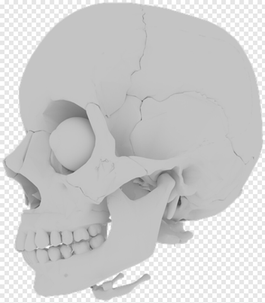 skull-and-crossbones # 333589