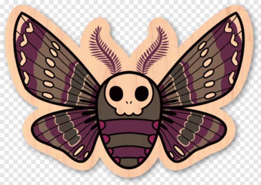 moth # 685771