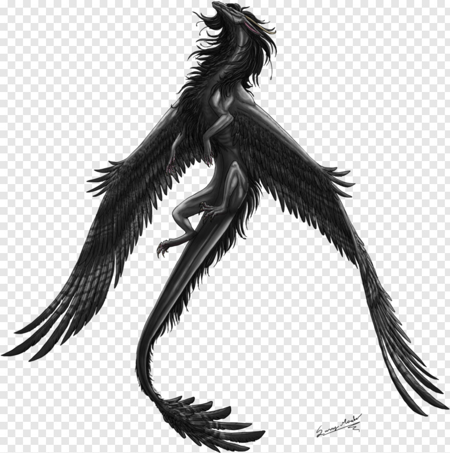 dragon-wings # 885521