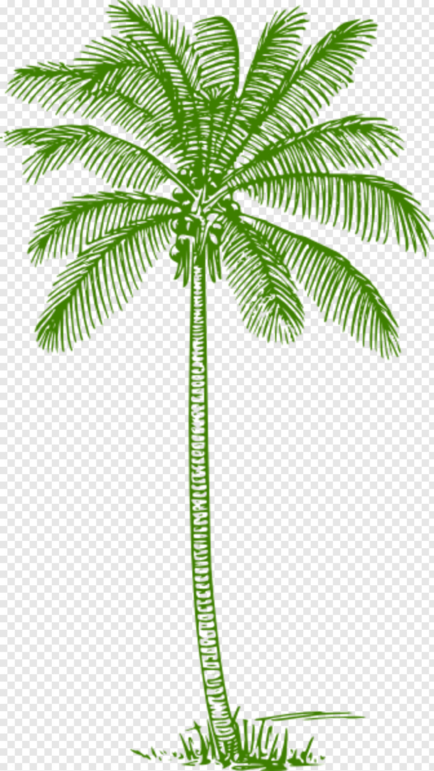 palm-tree-vector # 460909