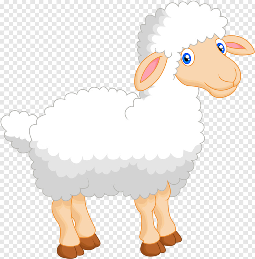 sheep # 932355