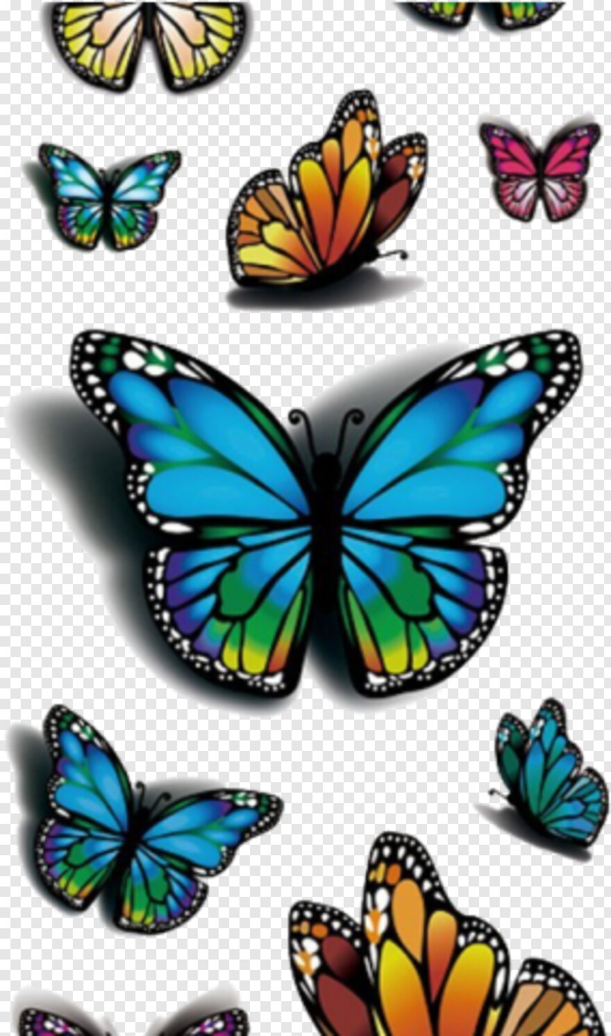 butterfly-3d-images # 1094434