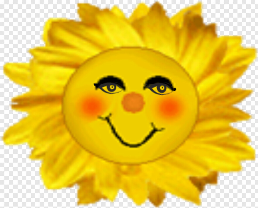 happy-sun # 1055842