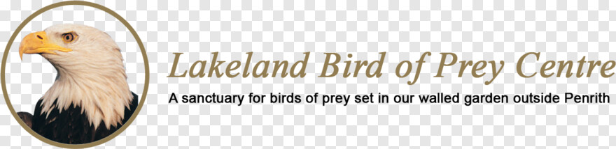 twitter-bird-logo # 360517