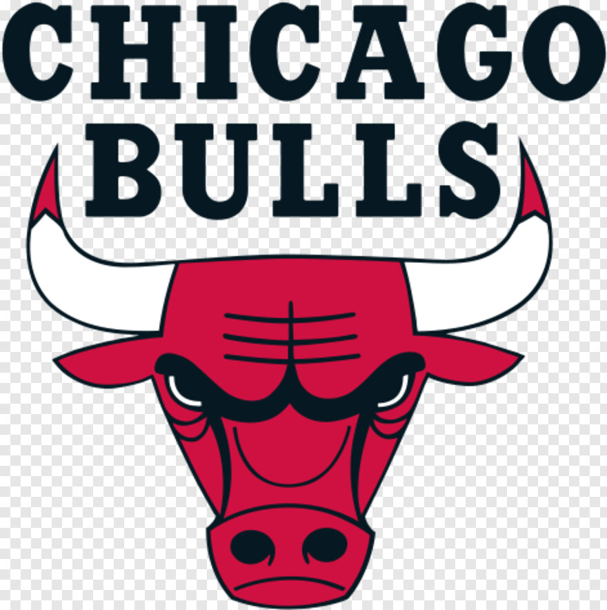 chicago-bulls # 369401