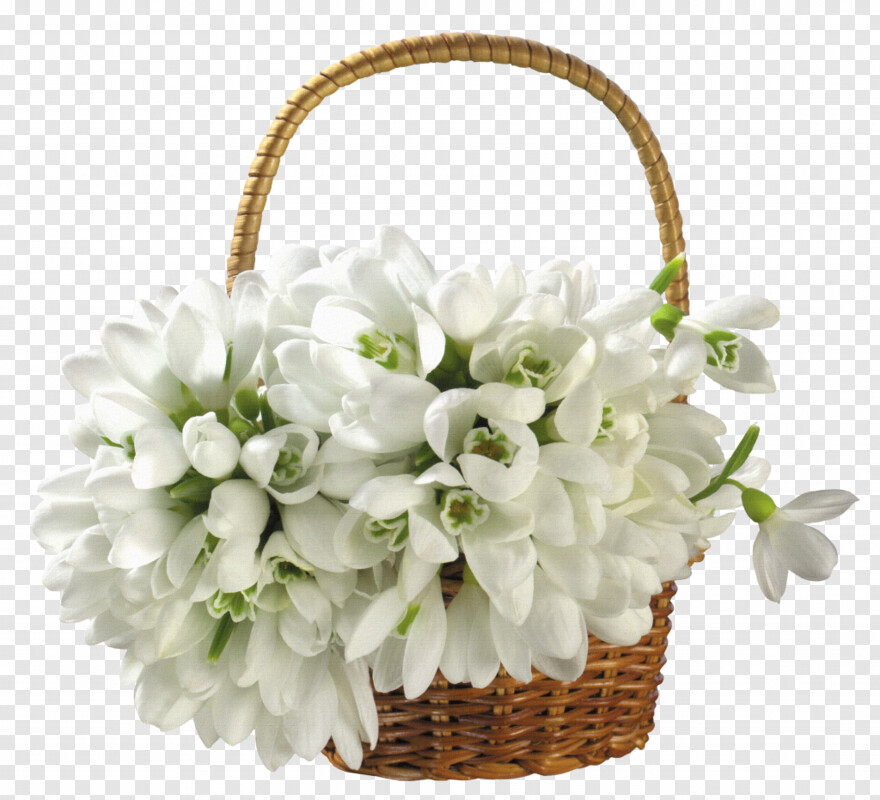 flower-basket # 458727