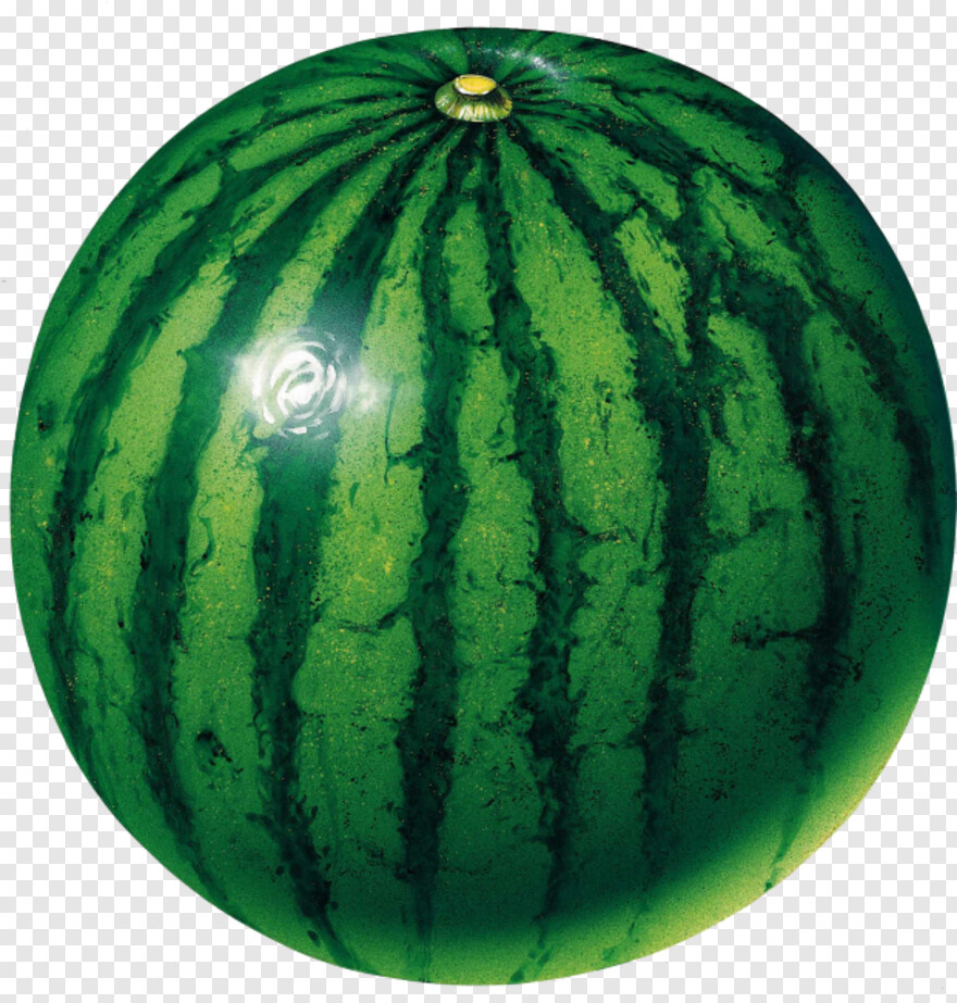 water-melon # 809831