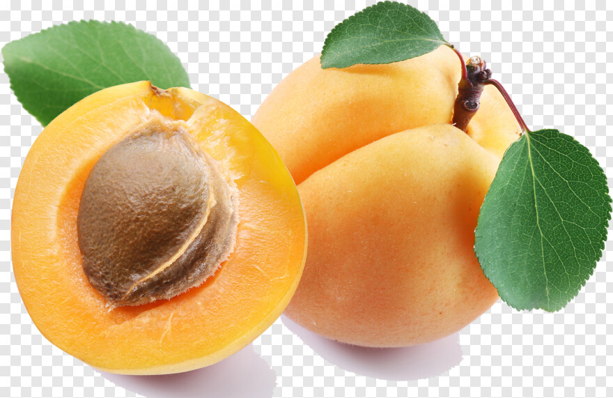 mango-slice # 496379