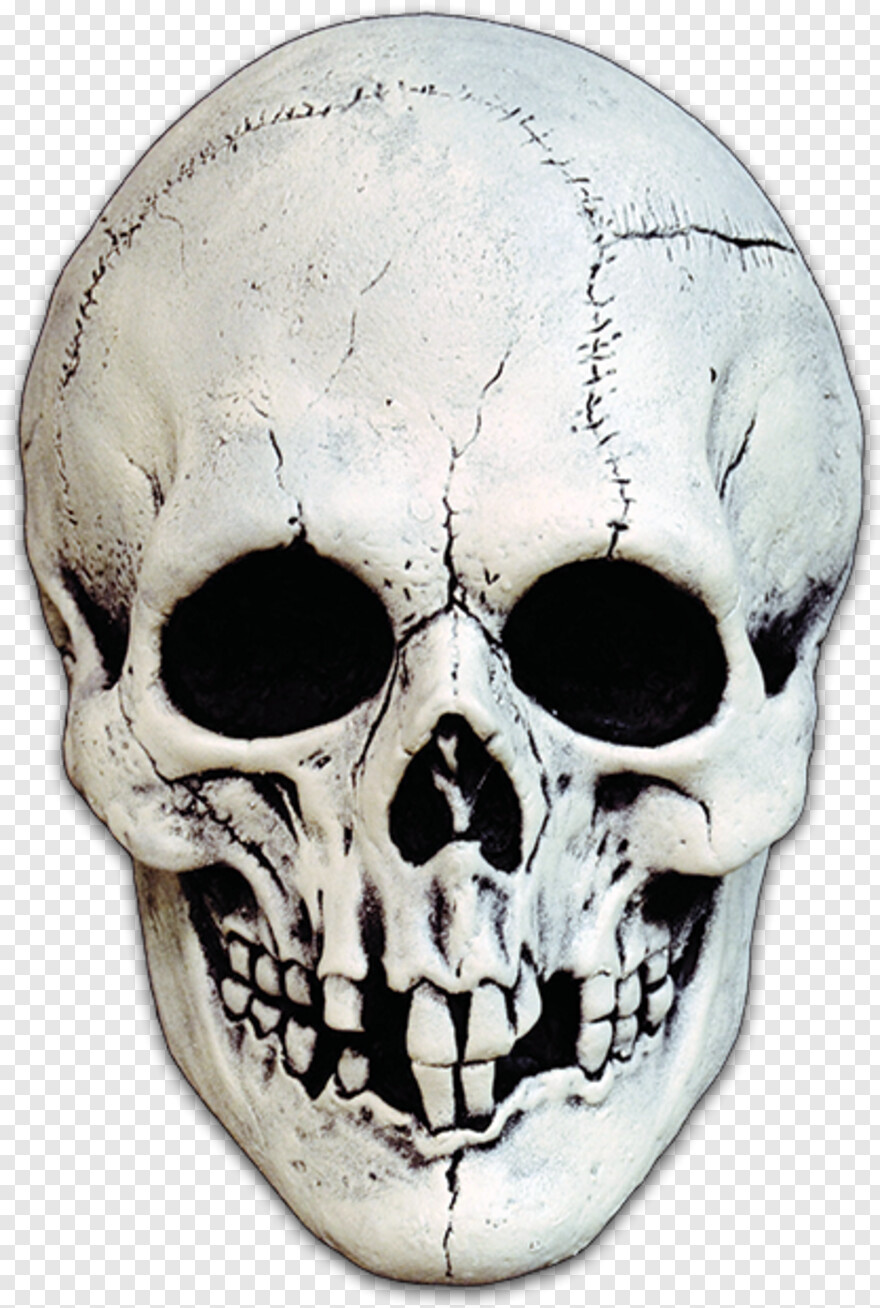 black-skull # 776185