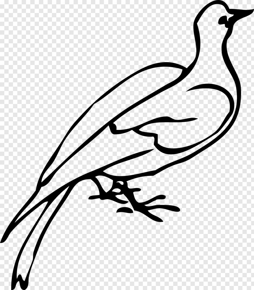 white-dove # 365054