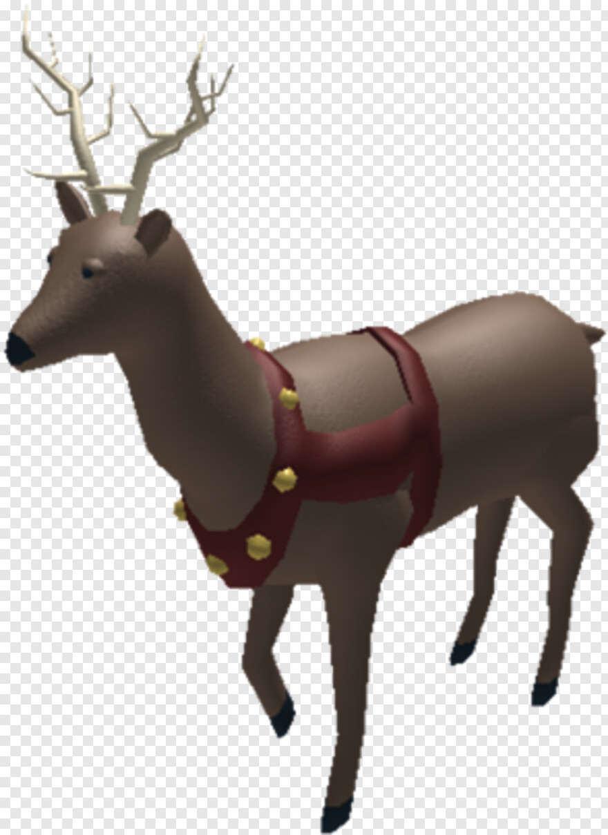 reindeer # 636482