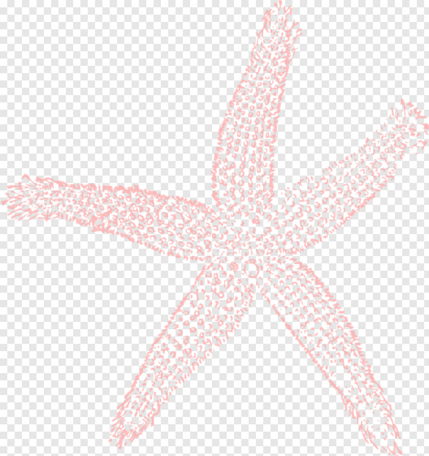 starfish # 479852